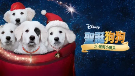 thumbnail - 聖誕狗狗之聖誕小寶貝