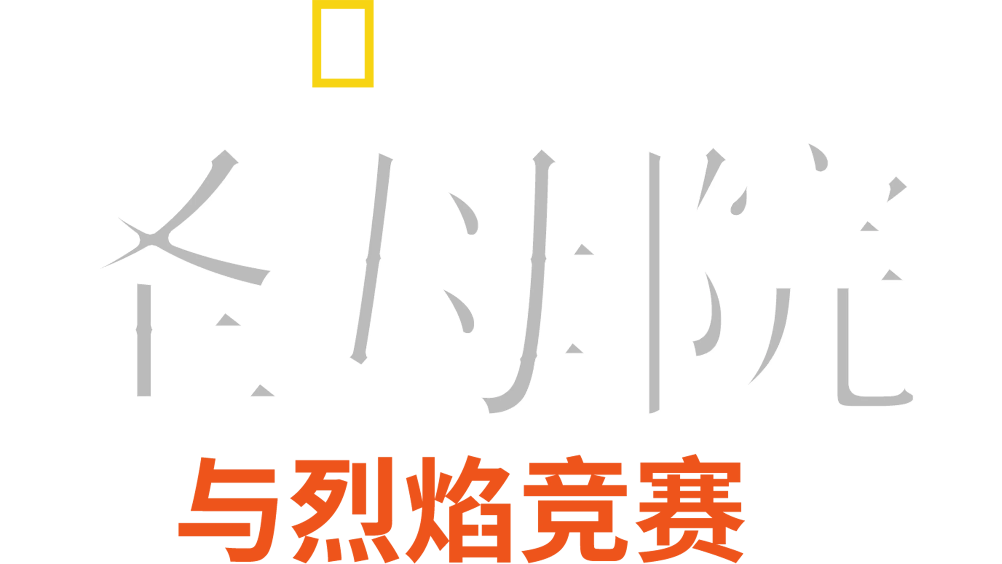 圣母院: 与烈焰竞赛