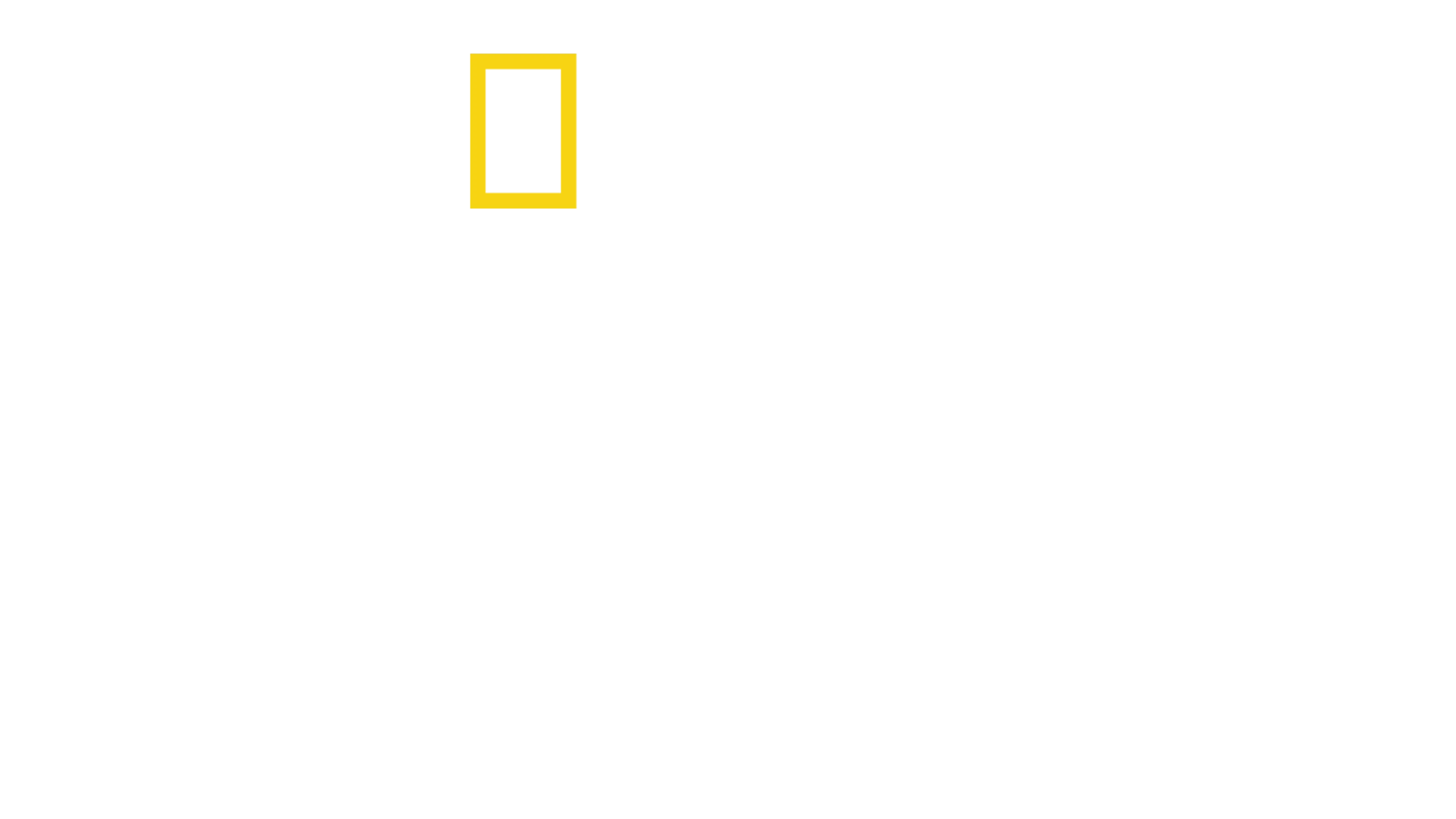 カー・SOS 蘇れ！思い出の名車