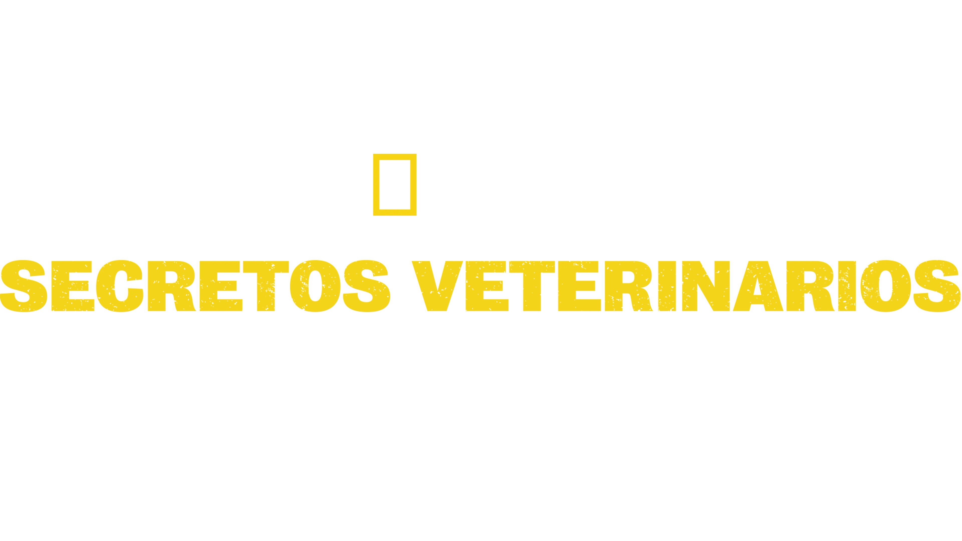 Secretos veterinarios: Carolina del Norte