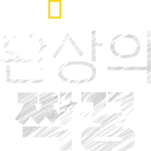 환상의 짝꿍