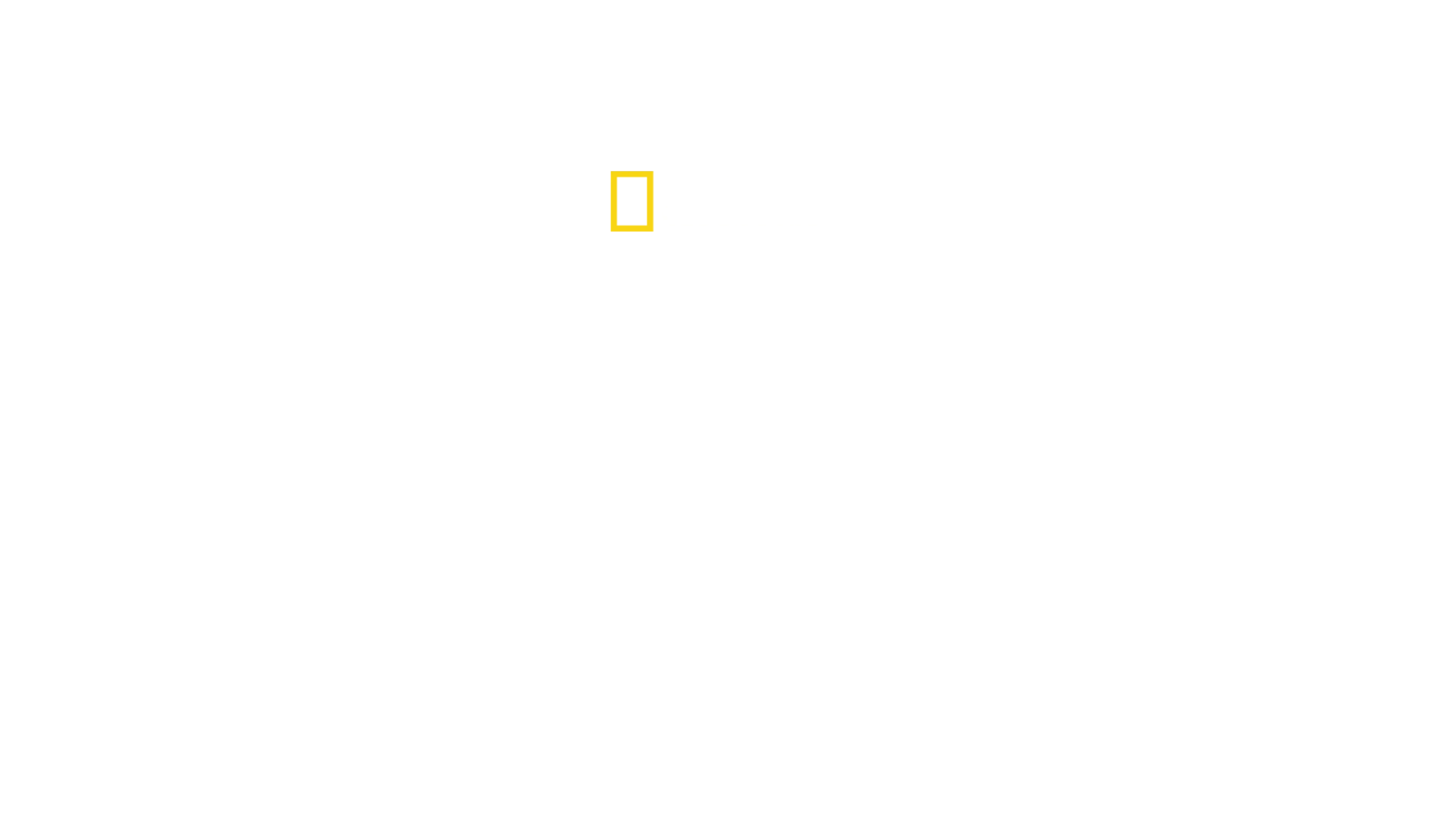 Εντατική Εξωτικών Ζώων με τη Δρ. Κ