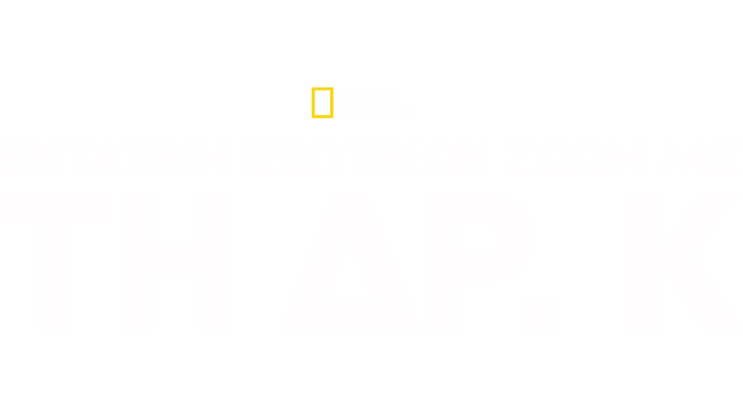 Εντατική Εξωτικών Ζώων με τη Δρ. Κ