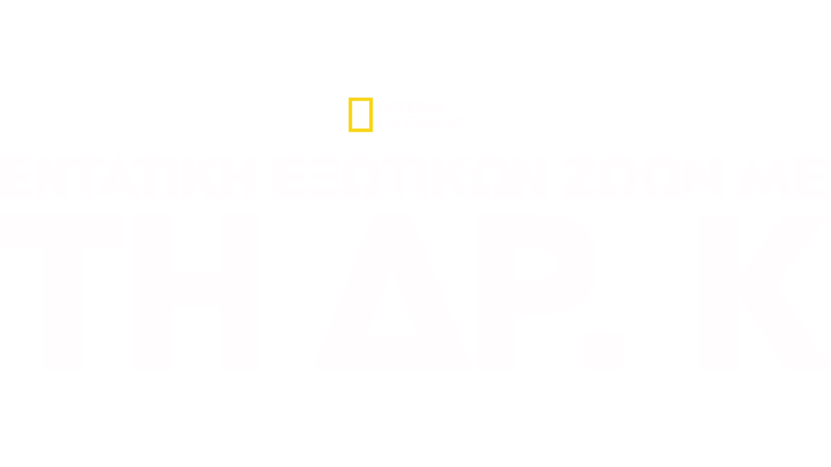 Εντατική Εξωτικών Ζώων με τη Δρ. Κ
