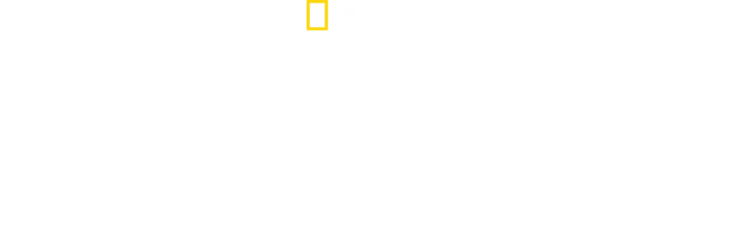 Εντατική Εξωτικών Ζώων με τη Δρ. Κ