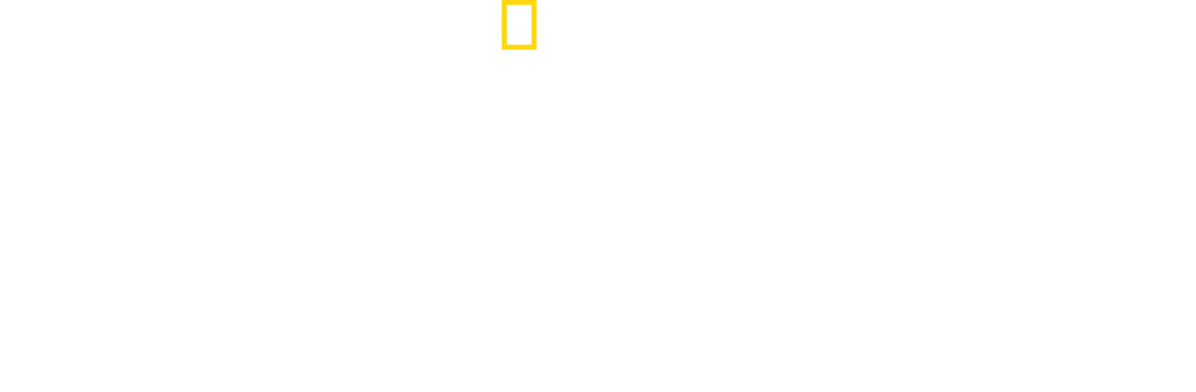 Εντατική Εξωτικών Ζώων με τη Δρ. Κ