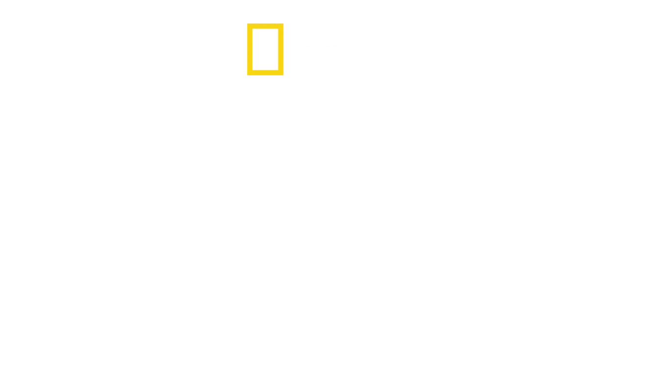 Jane: El legado