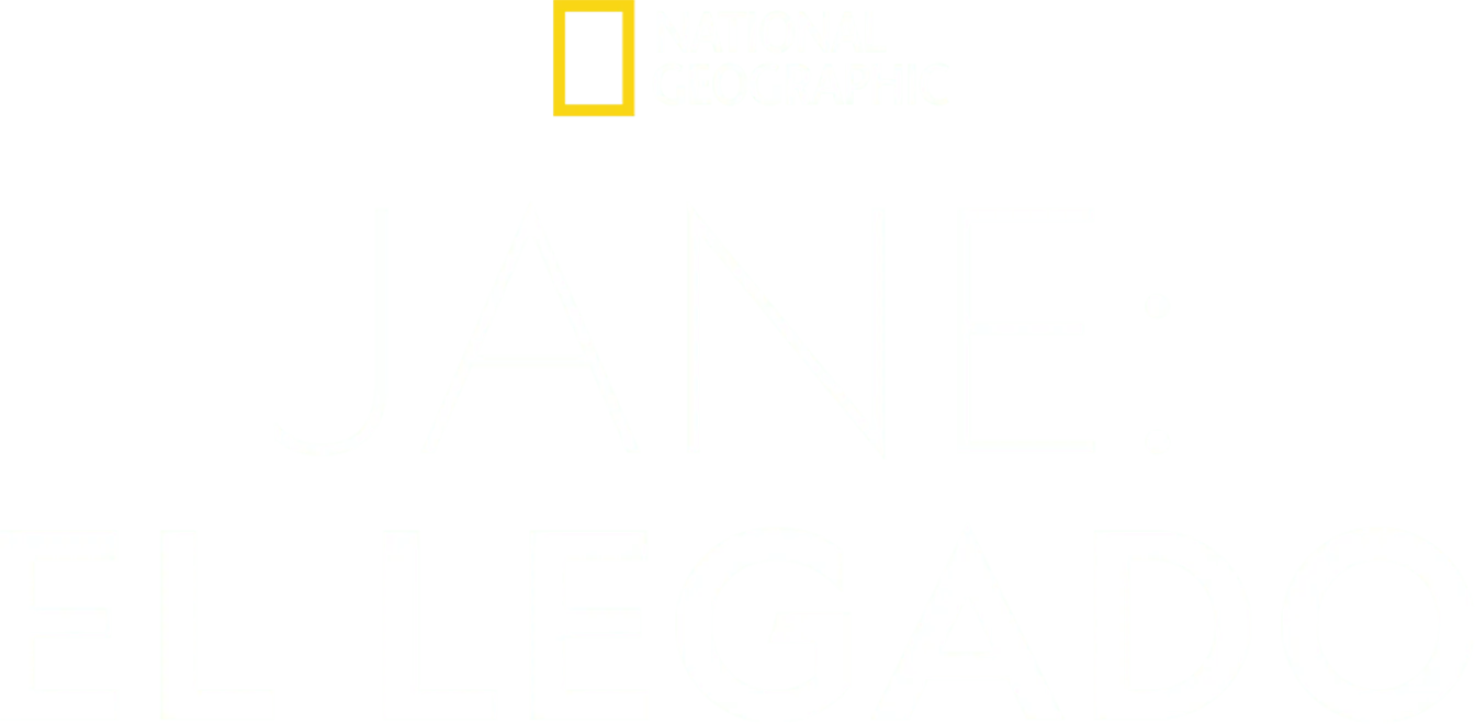Jane: El legado