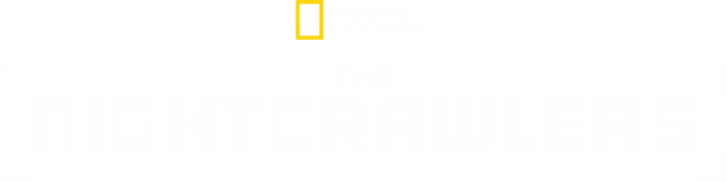 The Nightcrawlers