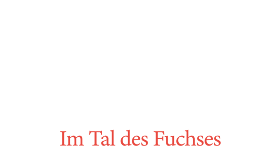 Charlotte Link - Im Tal des Fuchses