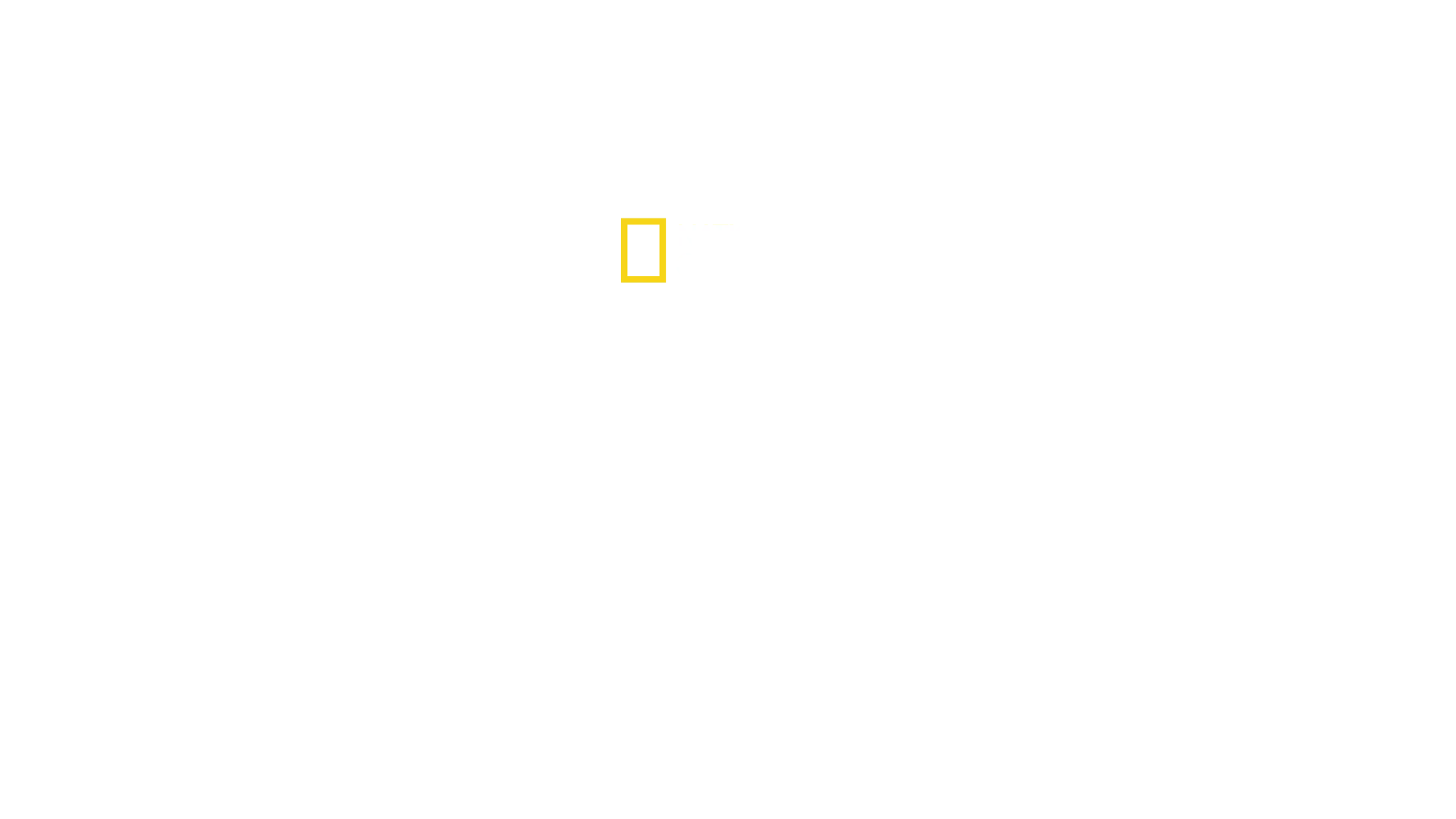 崽崽养成记