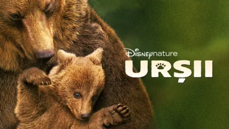 thumbnail - Urșii