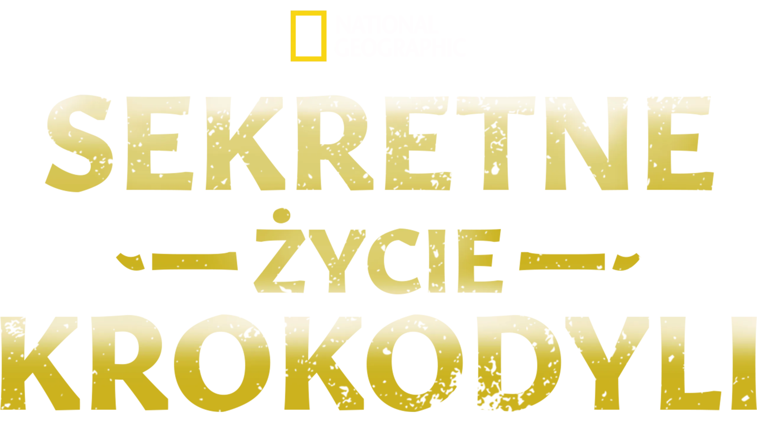 Sekretne życie krokodyli