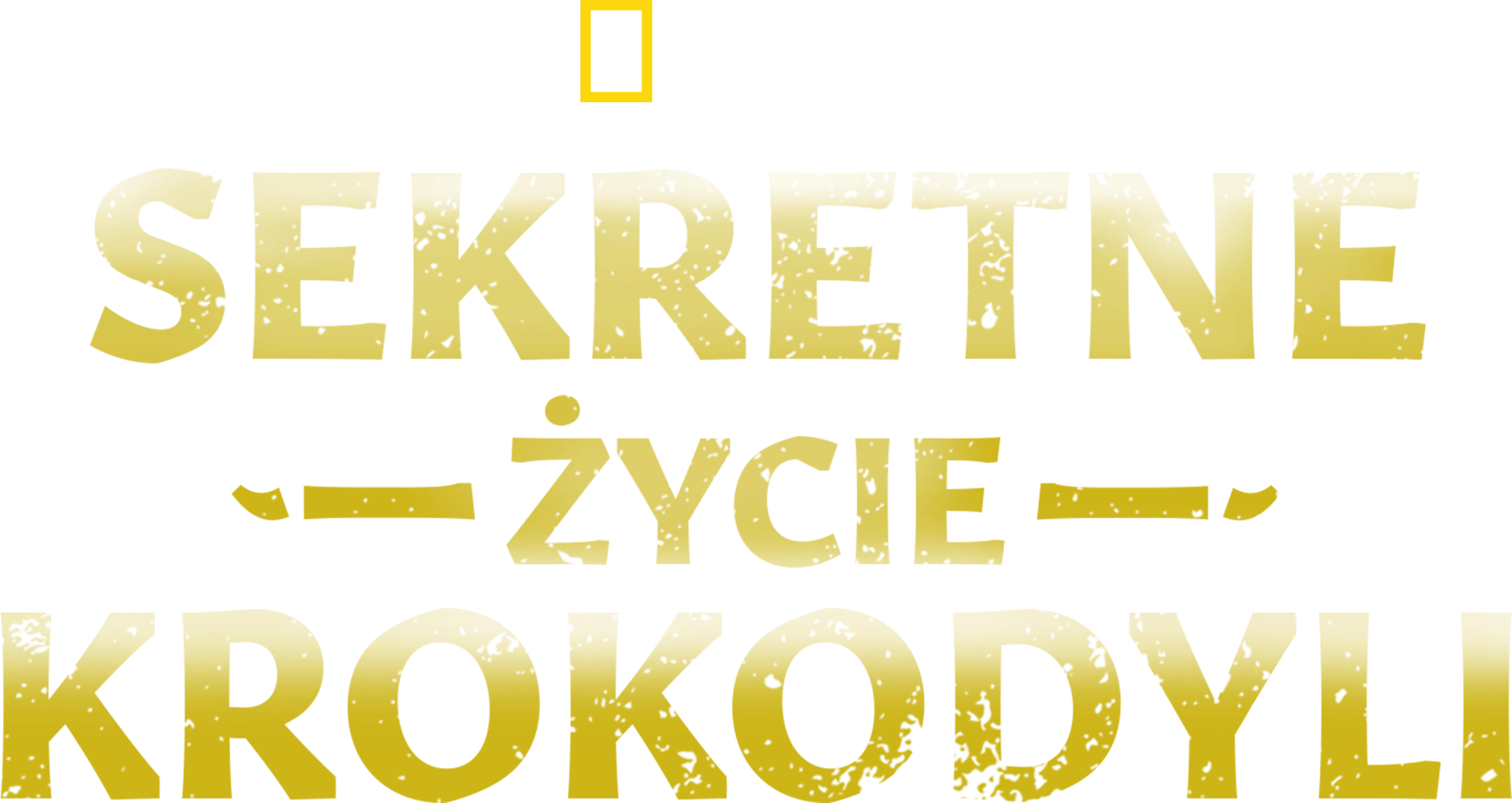 Sekretne życie krokodyli