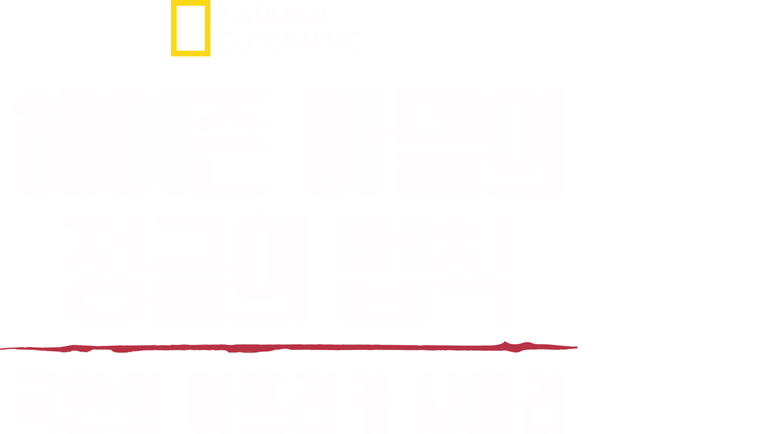 헤이즌 아델의 정글의 법칙: 극한의 아프리카 사파리
