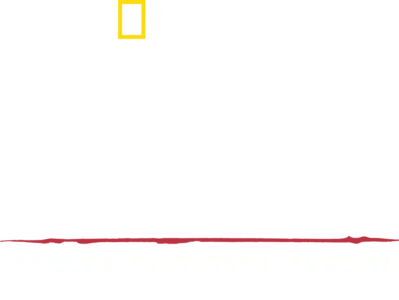 헤이즌 아델의 정글의 법칙: 극한의 아프리카 사파리
