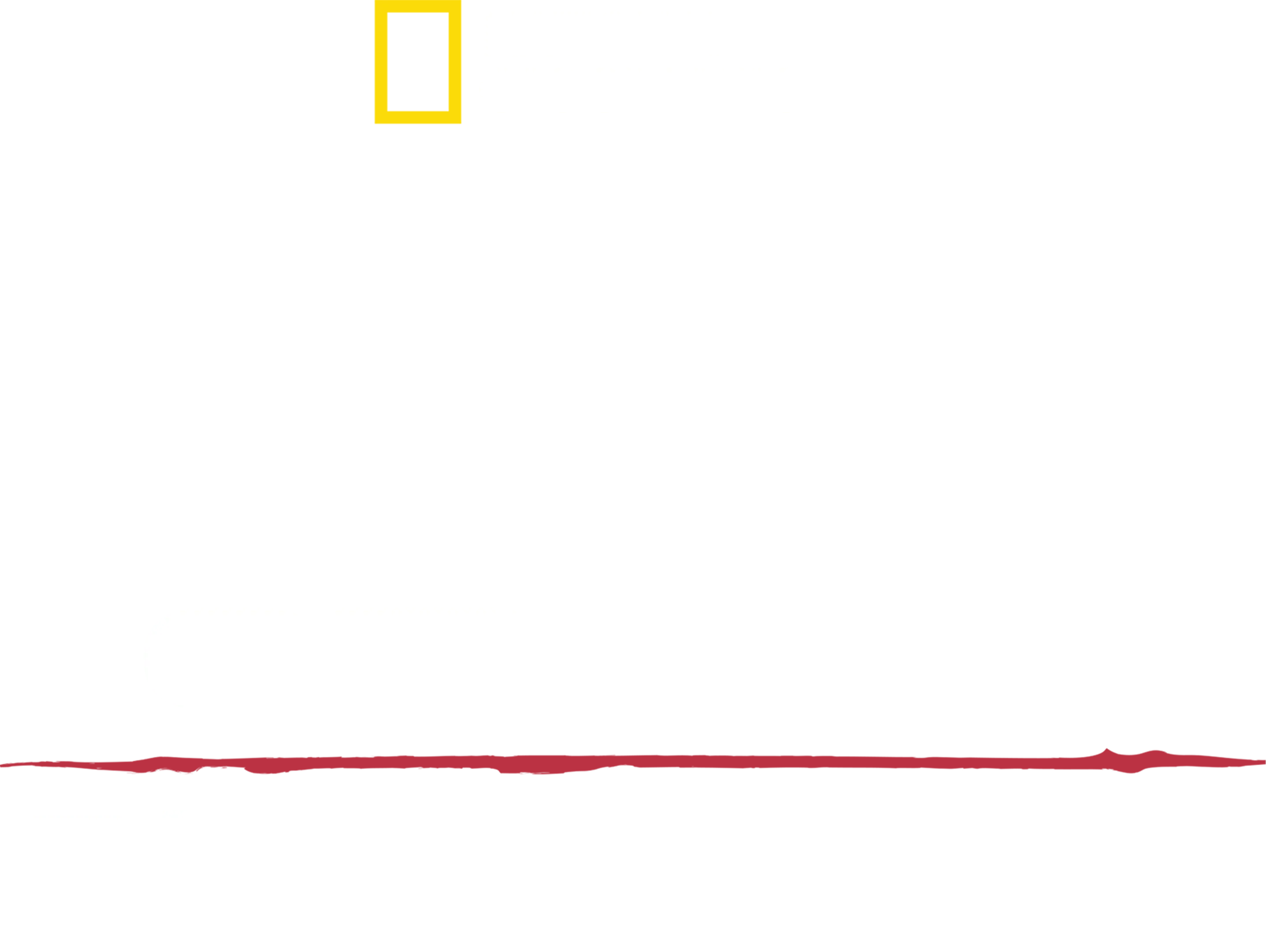 헤이즌 아델의 정글의 법칙: 극한의 아프리카 사파리