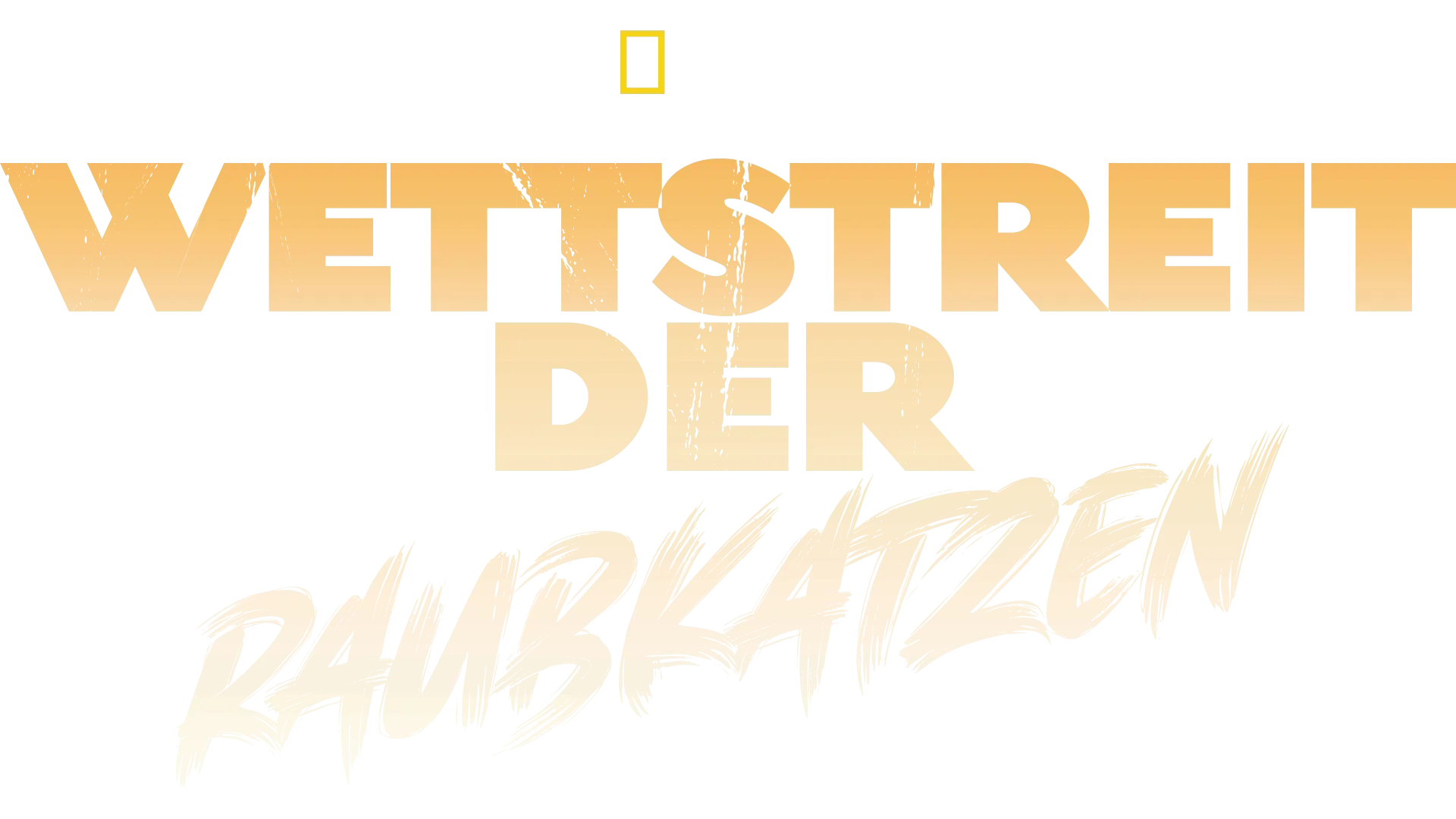 Wettstreit der Raubkatzen