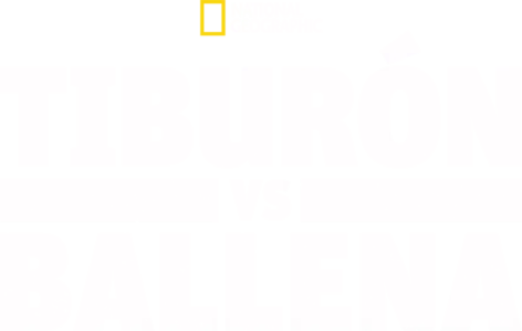 Tiburón vs Ballena
