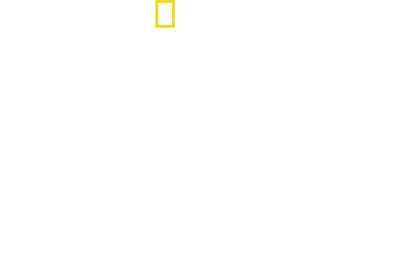 Tiburón vs Ballena