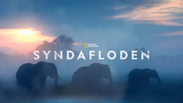 thumbnail - Syndafloden