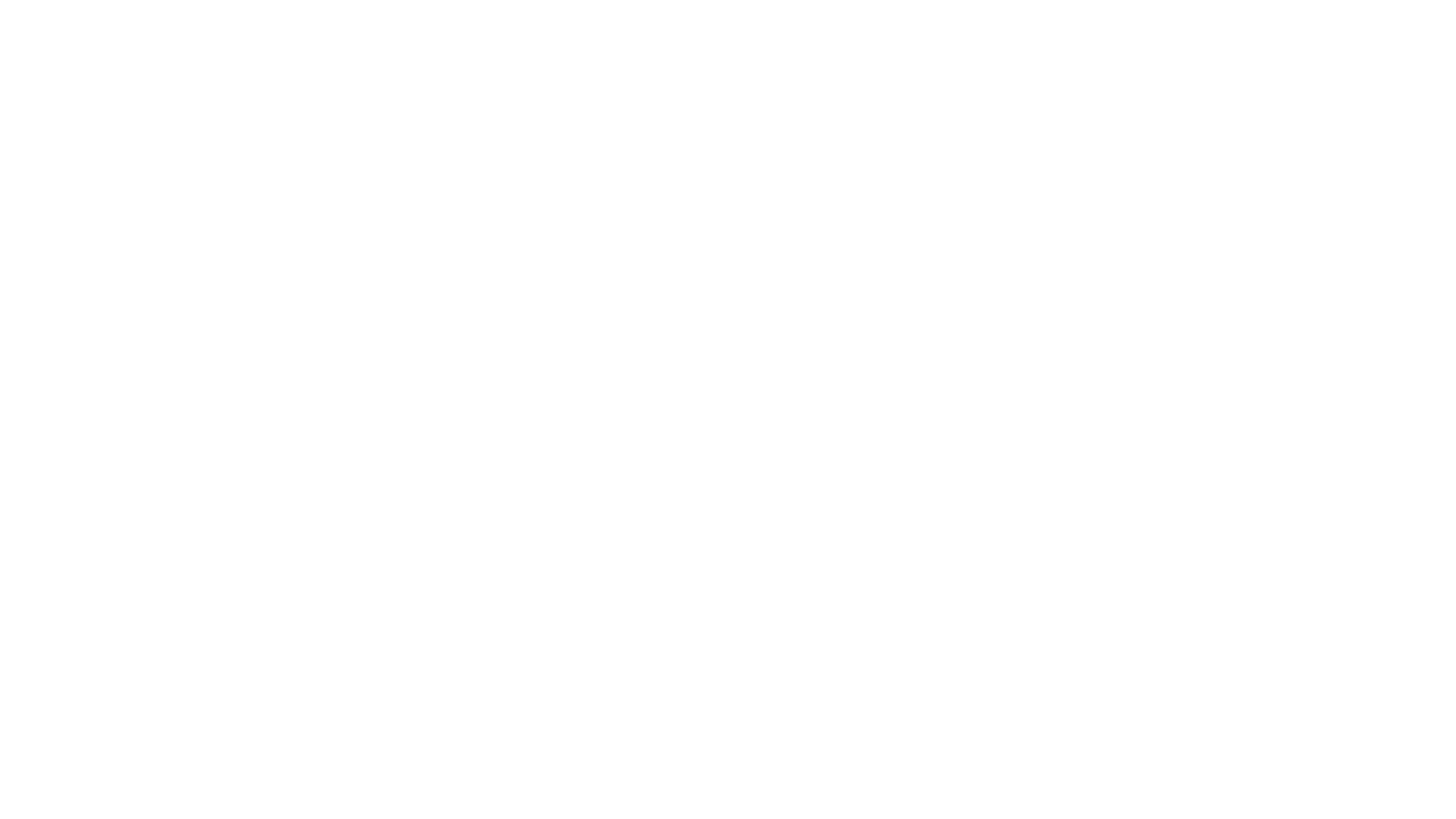 第五次元
