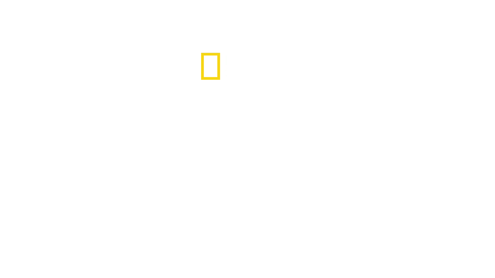 Havnen: Hamburg