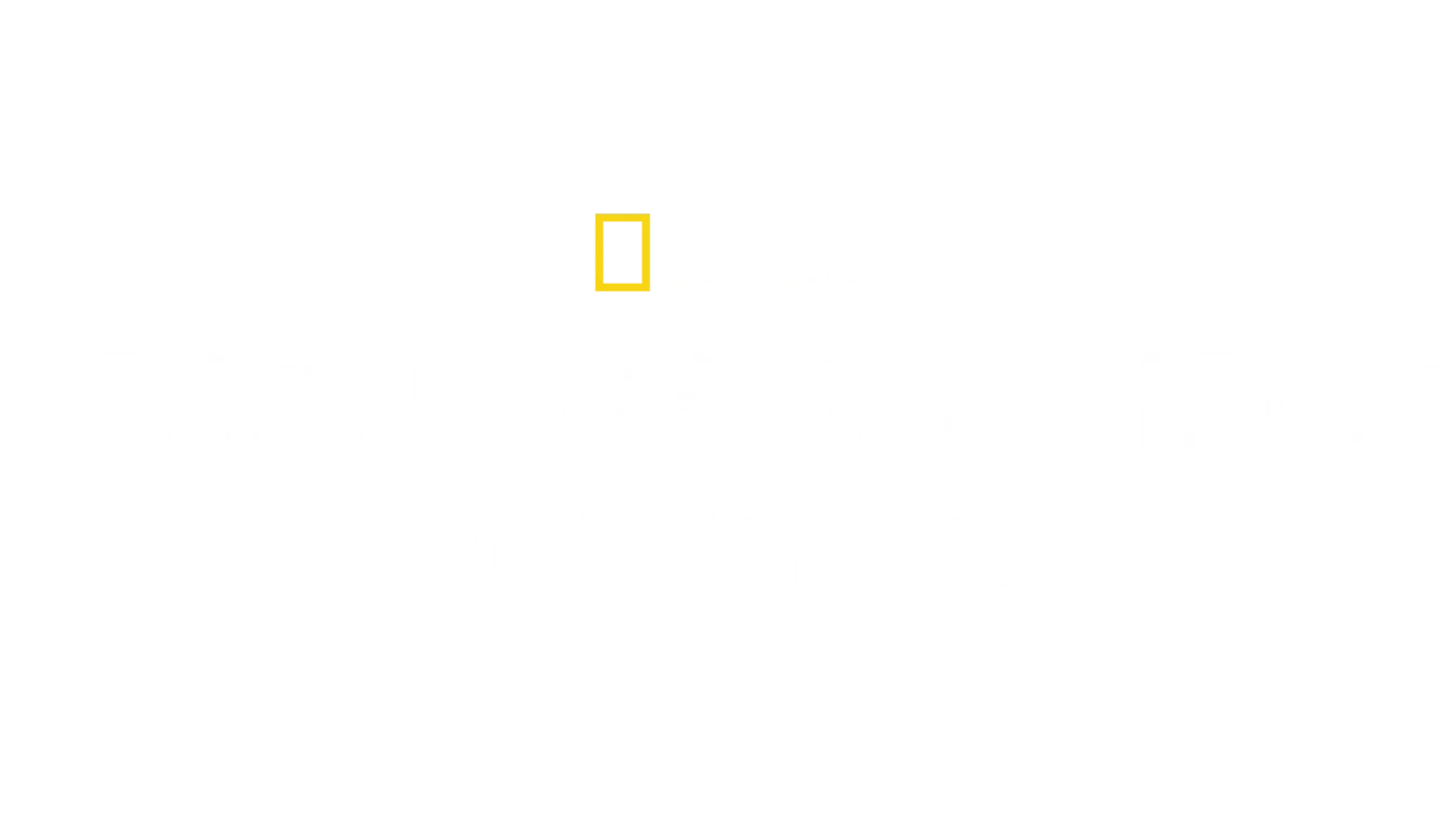 Tesouros Perdidos do Egito