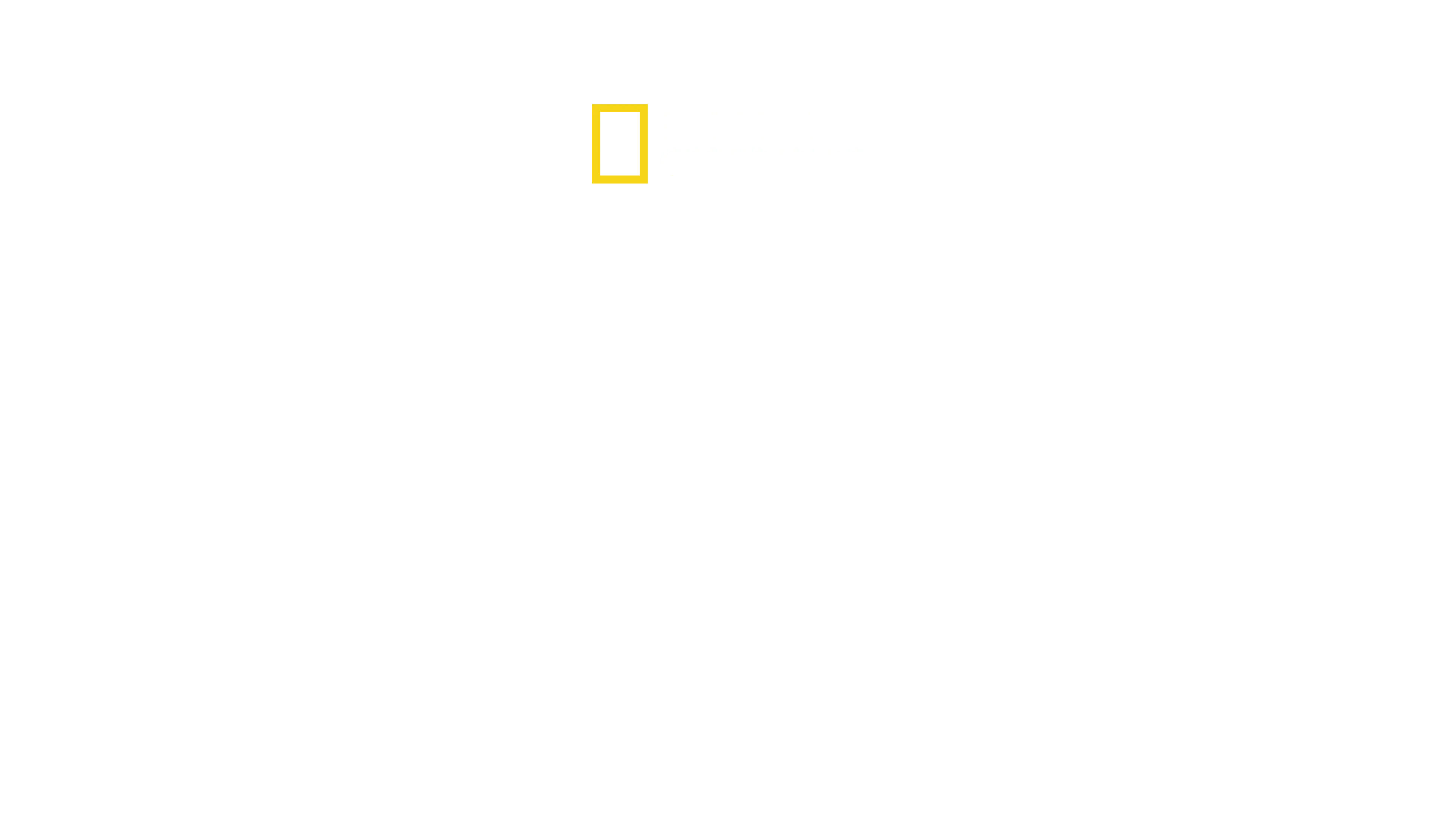 Game of Sharks