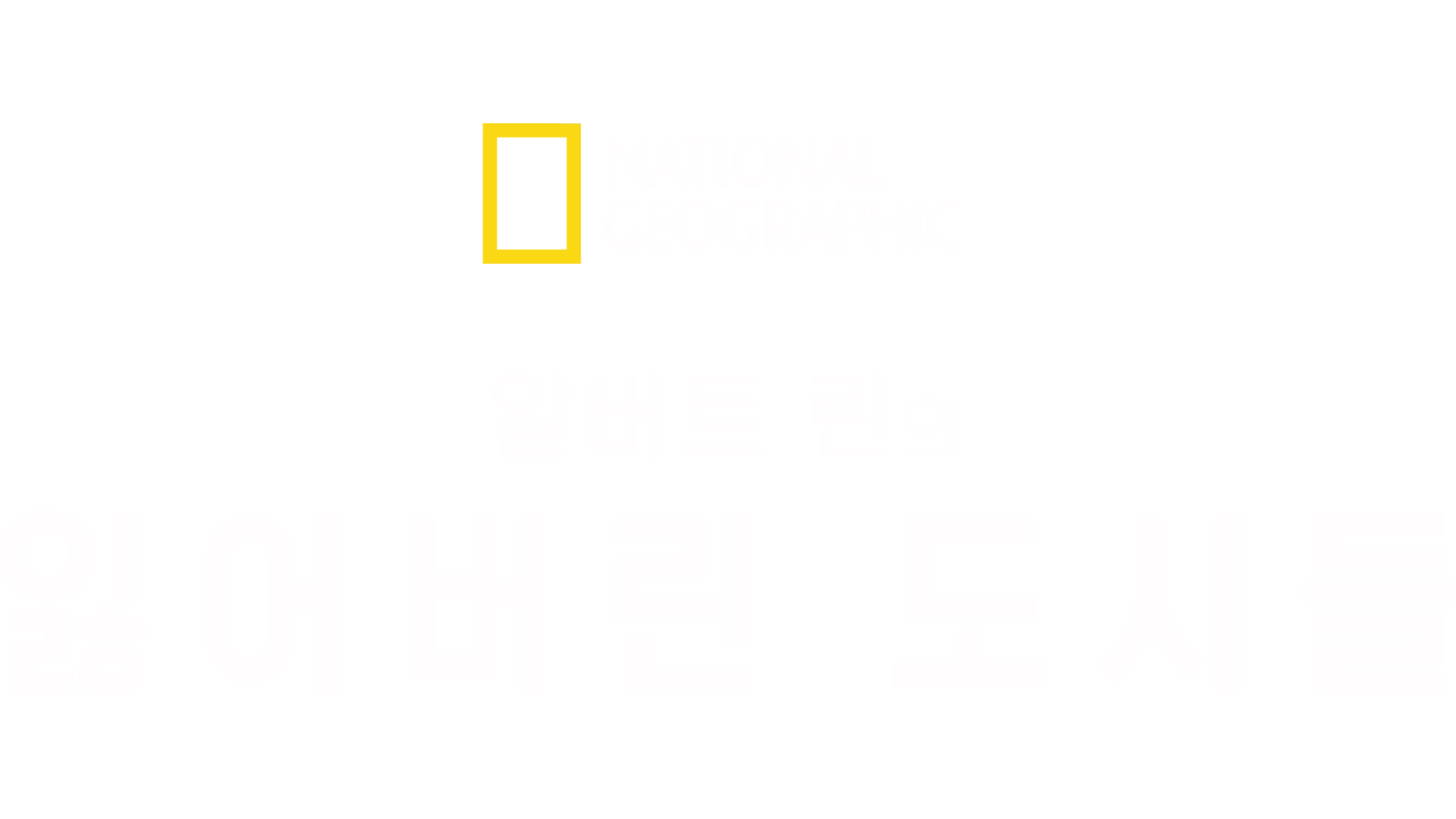알버트 린의 잃어버린 도시들