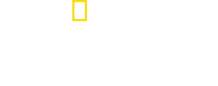 알버트 린의 잃어버린 도시들