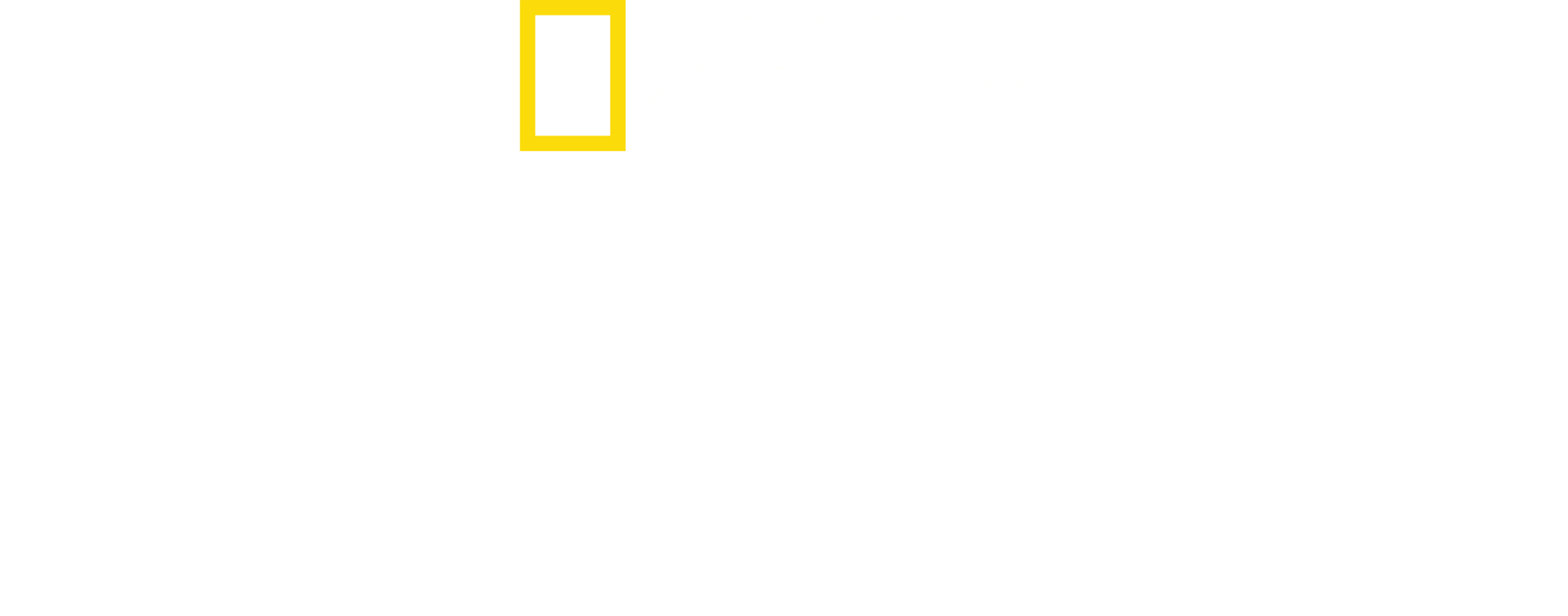 알버트 린의 잃어버린 도시들