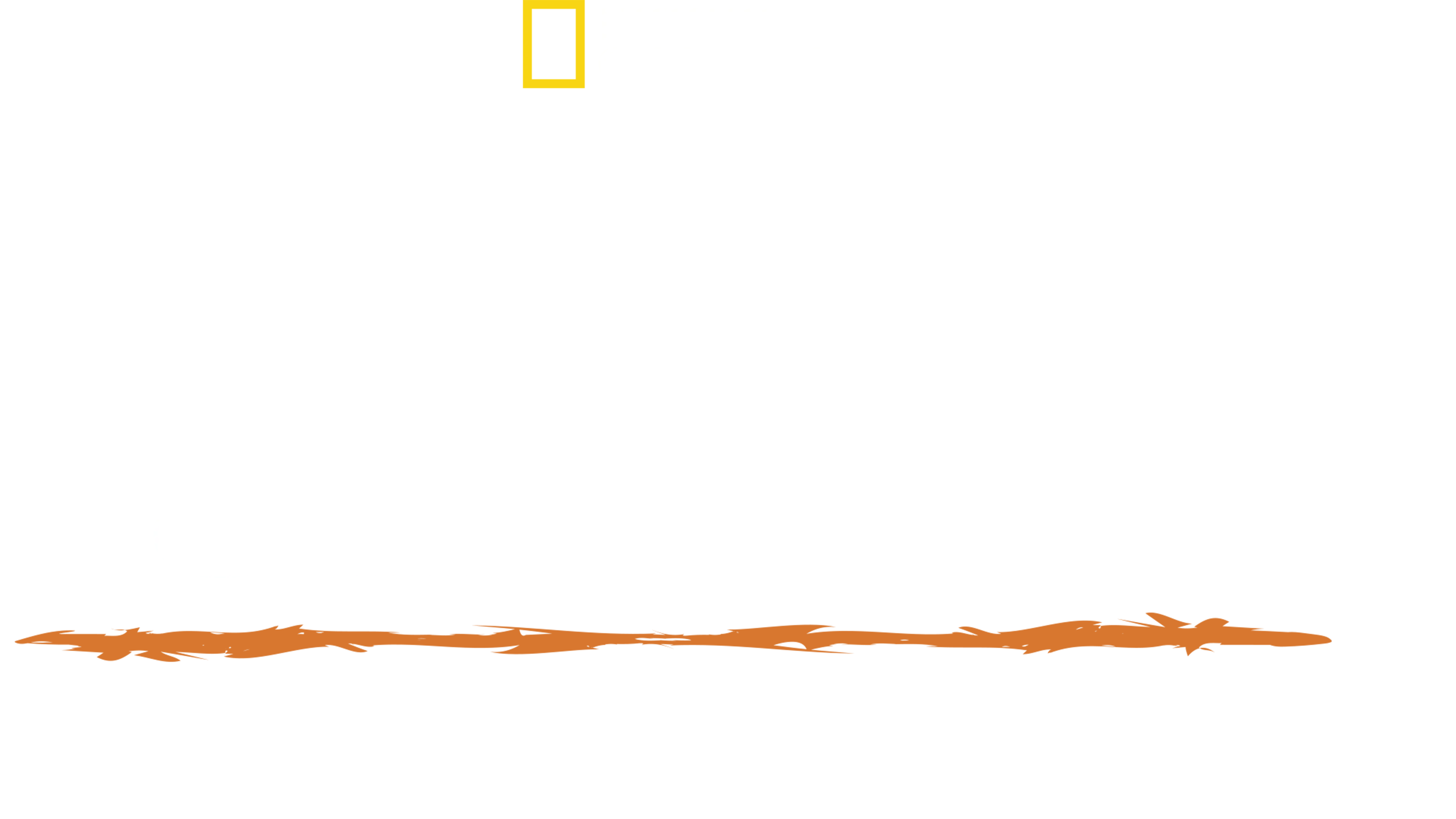 헤이즌 아델의 정글의 법칙: 안데스 너머로
