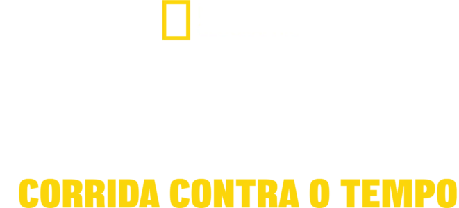 Tsunami: Corrida Contra o Tempo