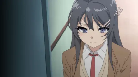 Rascal Does Not Dream of Bunny Girl Senpai