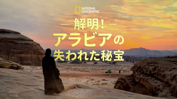 thumbnail - Lost Treasures of Arabia (Series) (2023)