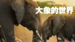 thumbnail - 大象