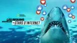 thumbnail - Les requins : nouvelles stars d'Internet
