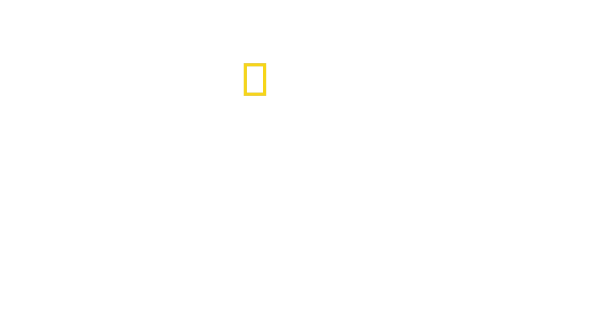 Secrets of the Octopus