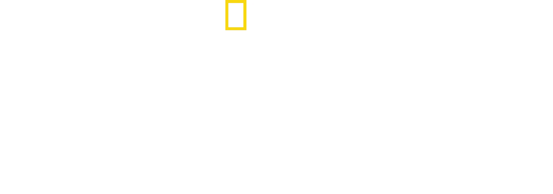 Secrets of the Octopus
