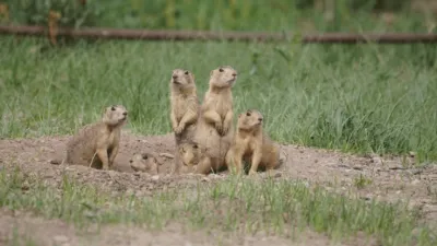 thumbnail - S1:E12 The Big Sleep