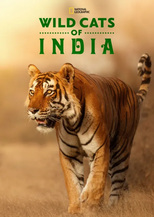 thumbnail - Wild Cats of India