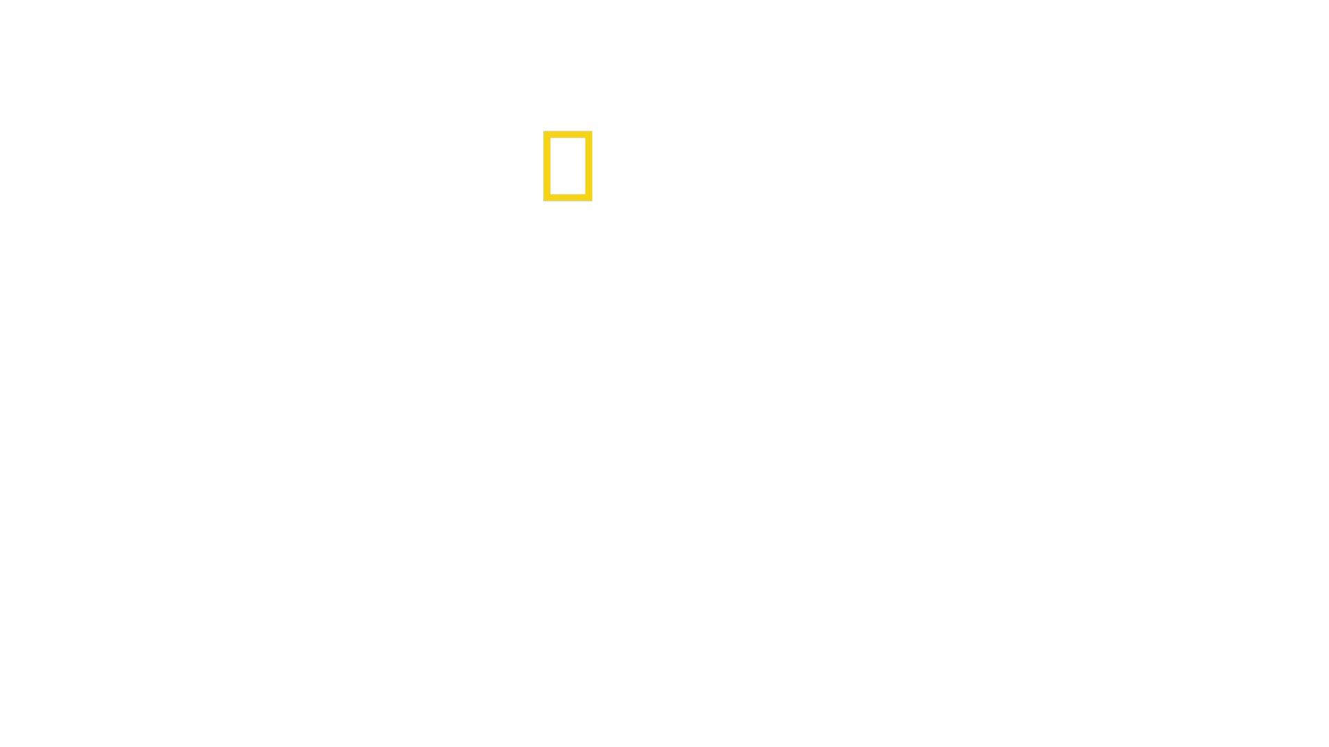 David Blaine: Não experimente isto em Casa