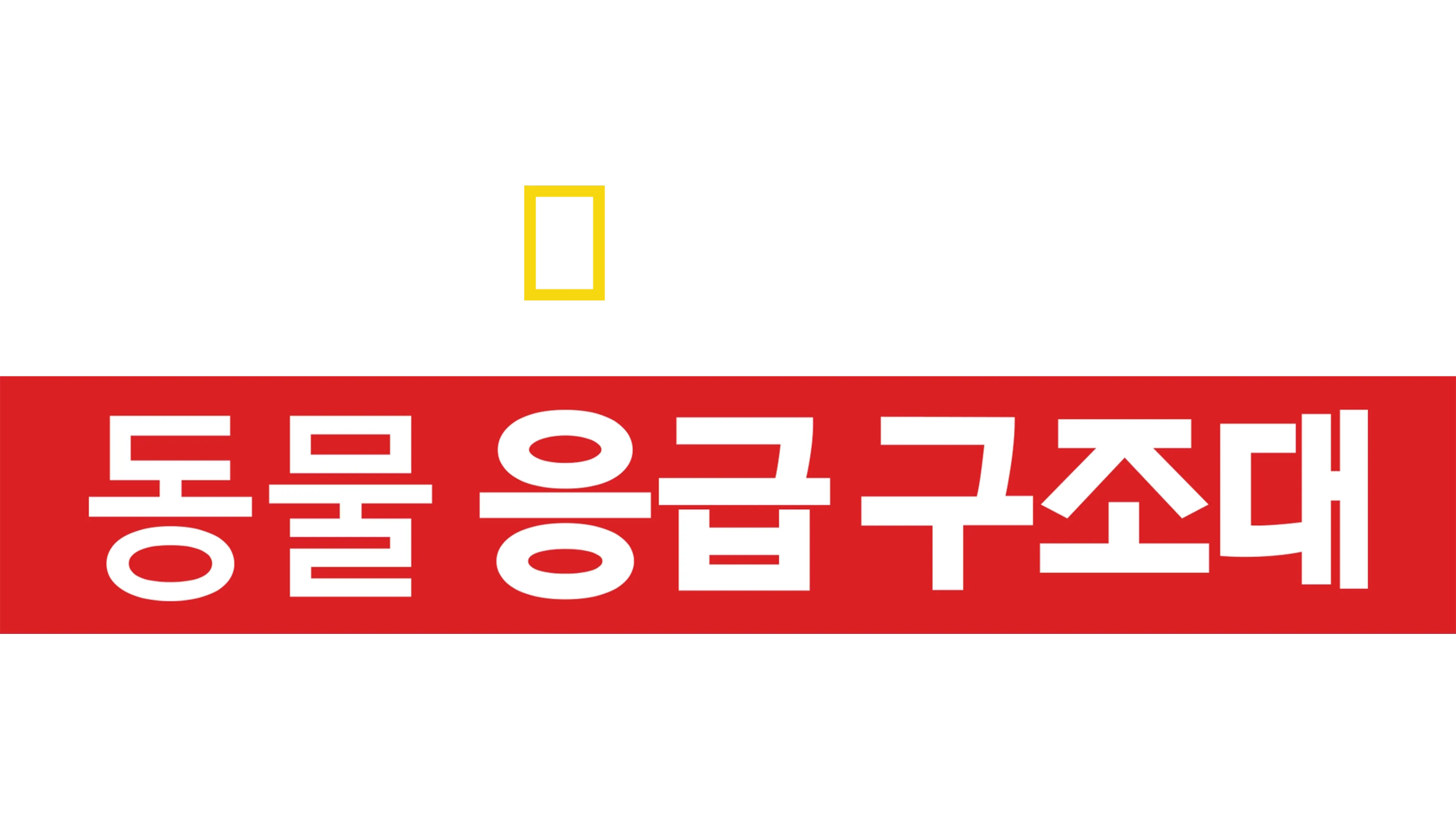 동물 응급 구조대