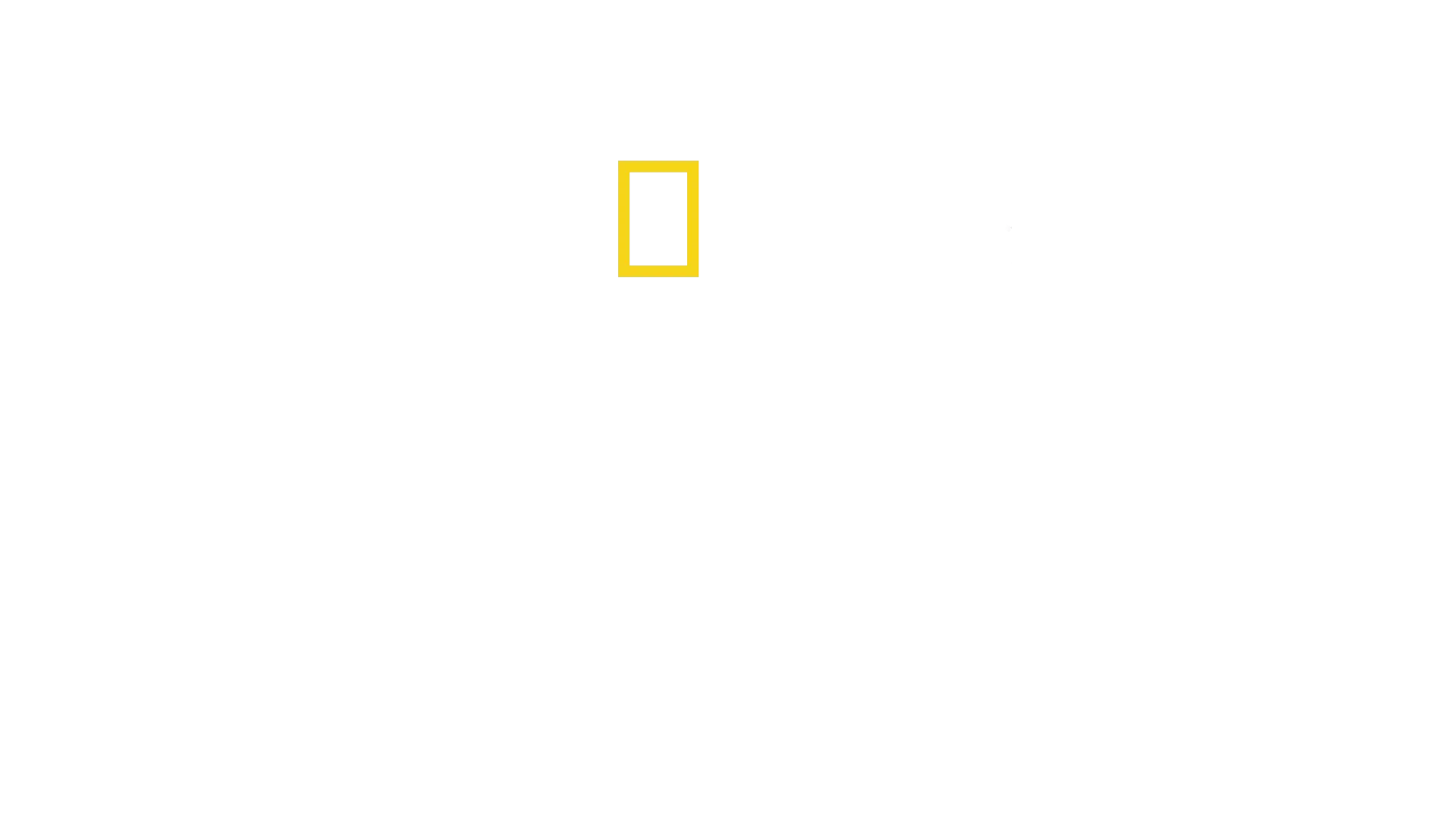 Becoming Cousteau