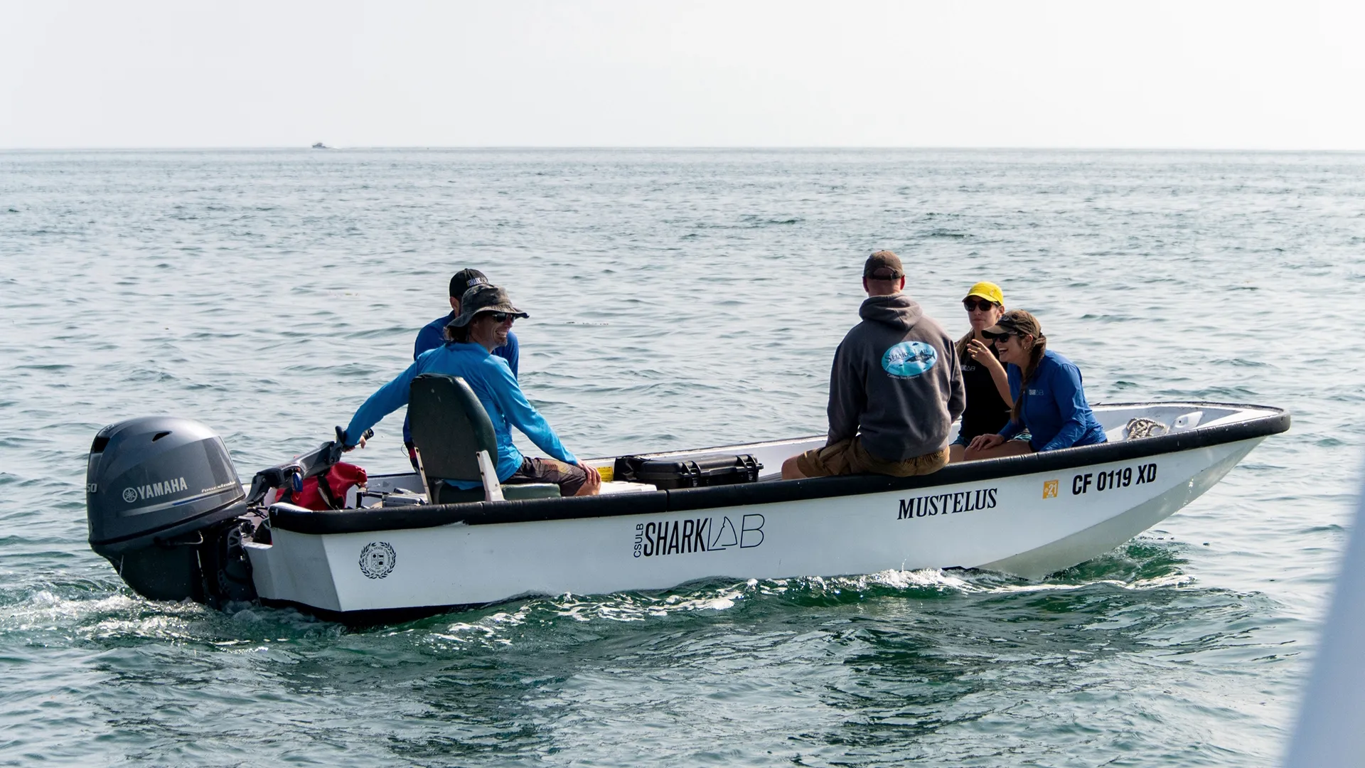 thumbnail - S8:E2 Carnage in California