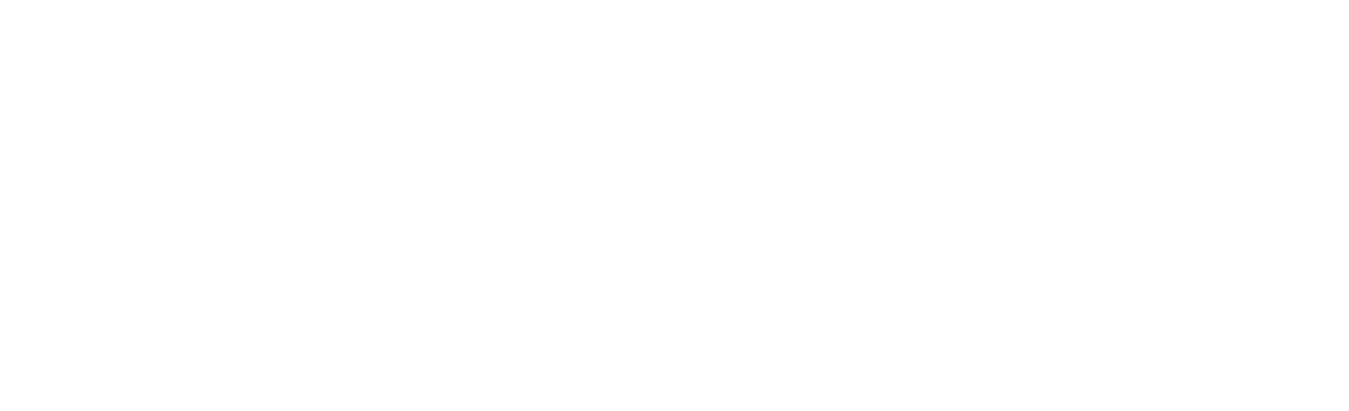 Terriers