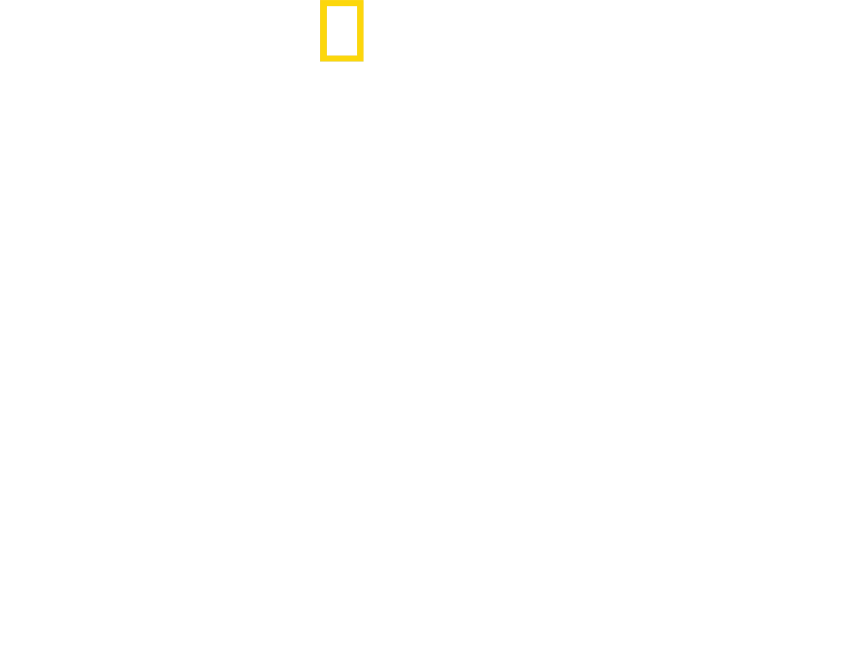 Der Strand der Haie mit Anthony Mackie: Golfküste