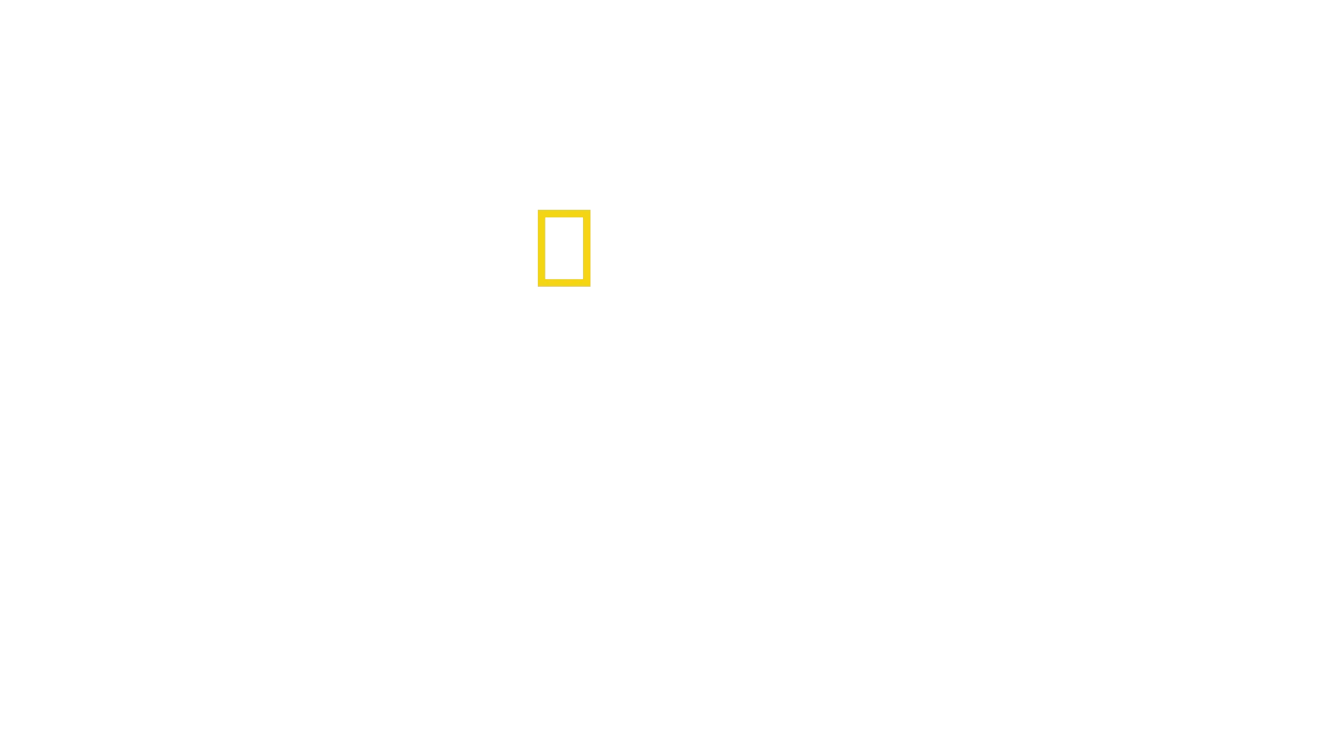 The Flagmakers : les fabriquants de la Nation