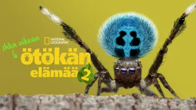 Ihka oikeaa Ötökän Elämää